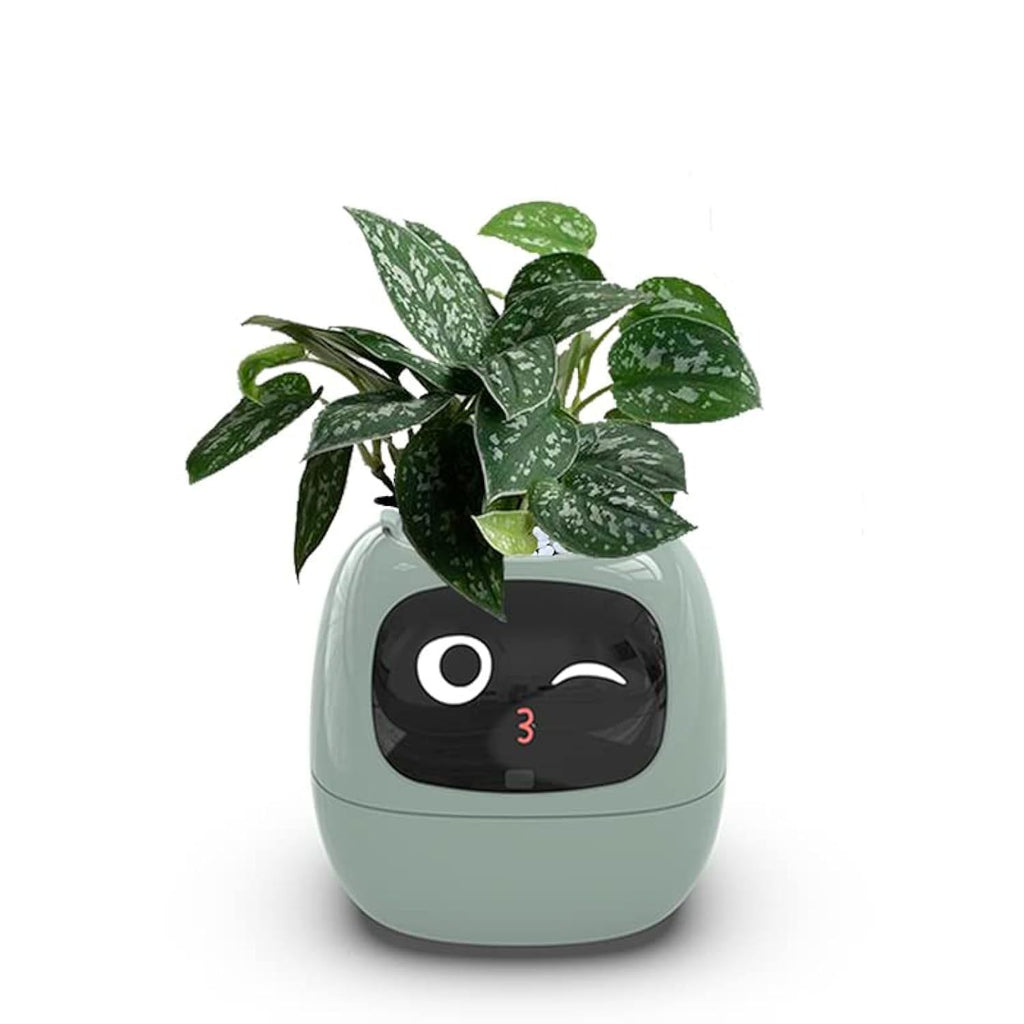 AI flower pot Green