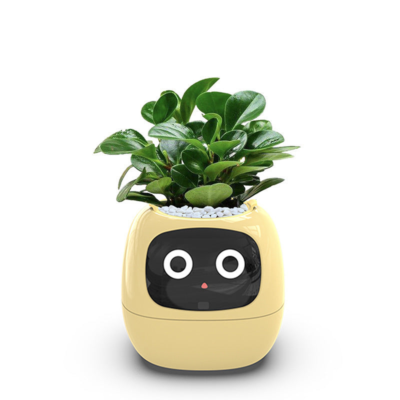 Ivy smart flower pot in earthy yellow with adorable facial expression