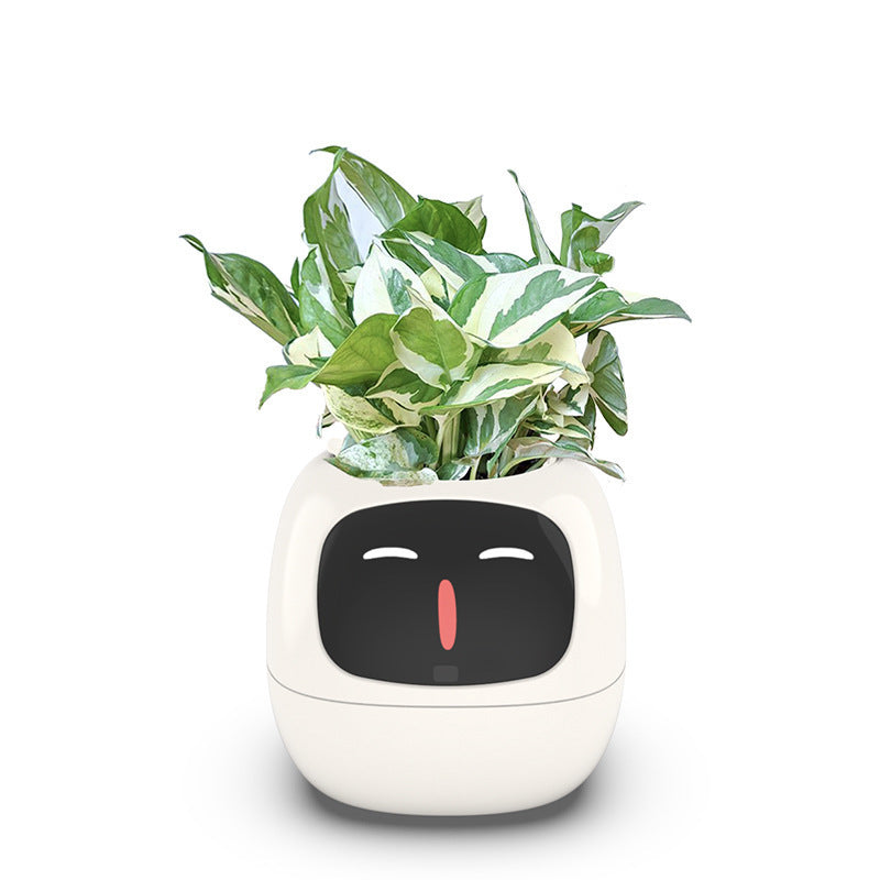 Ivy AI plant monitor in white showing real-time care alerts