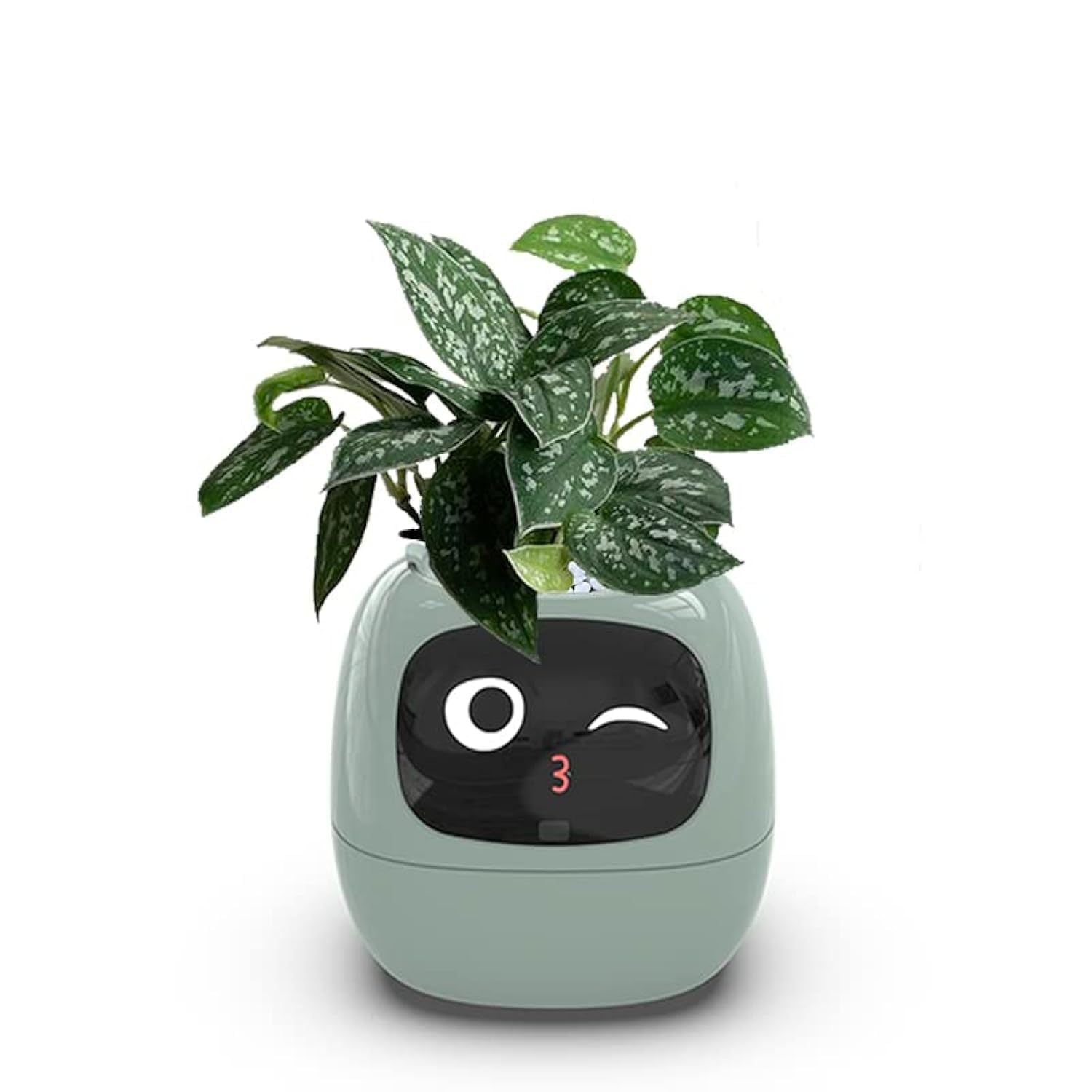 Ivy intelligent plant pot in dark green showing sensors and display